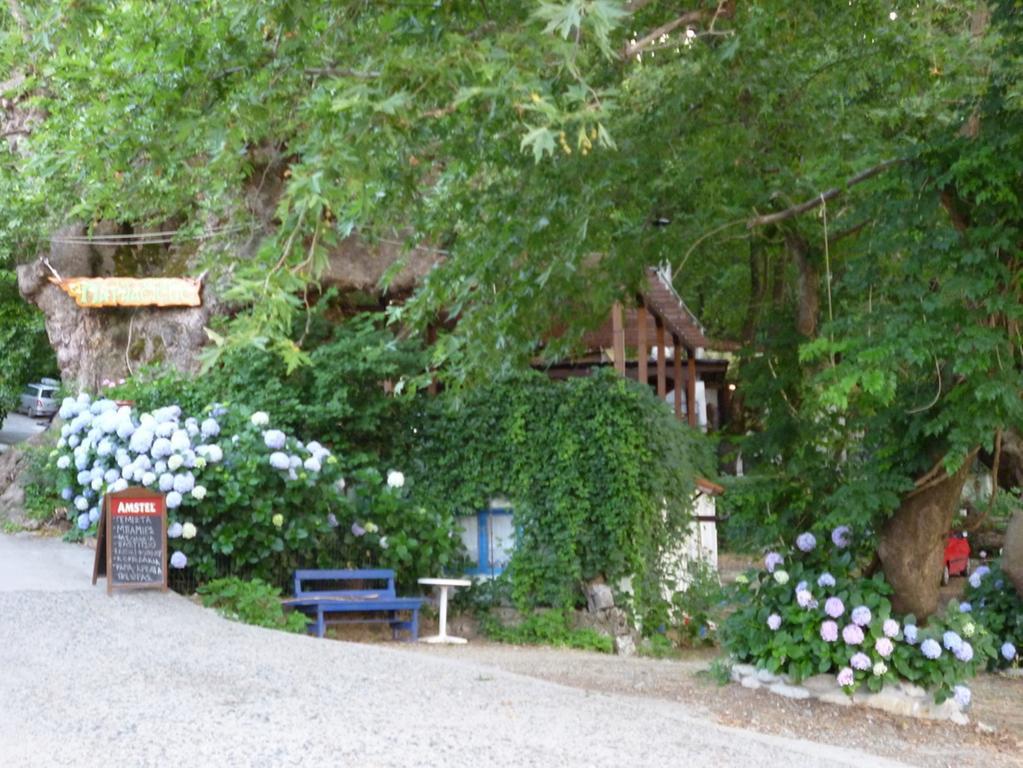 Galini Samothraki Hotel Therma  Exterior foto